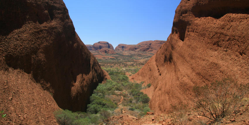 img_0155_olgas