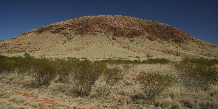img_2554_mt_murray