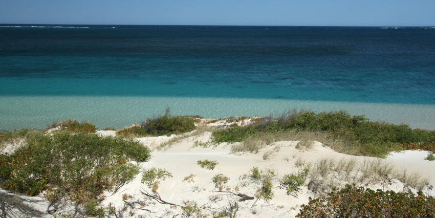 img_2614_ningaloo_marine_park