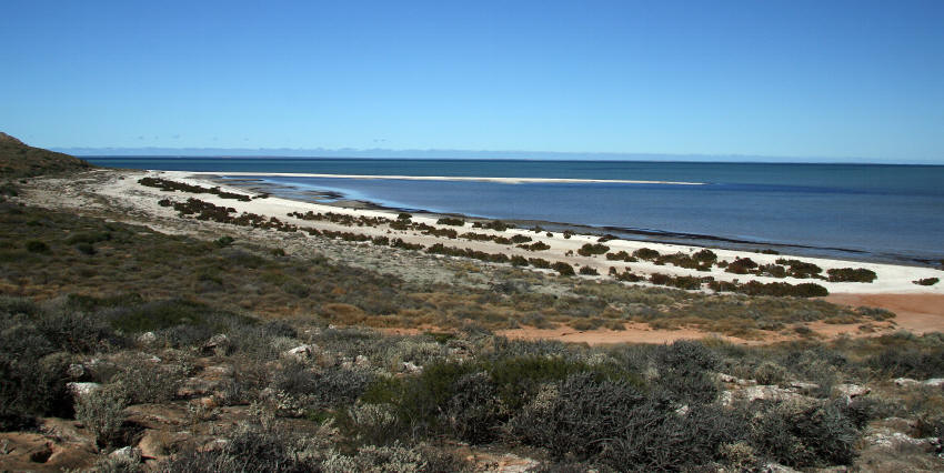 img_4144_strand