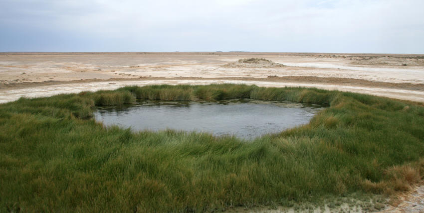 img_9734_mound_springs