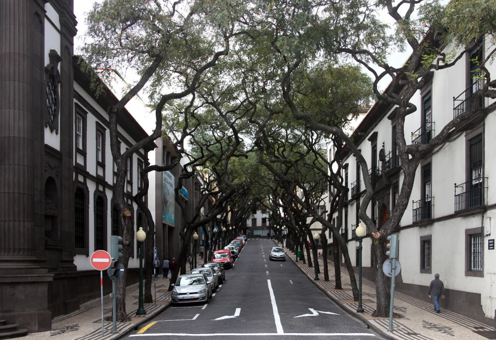 avenida_zarco