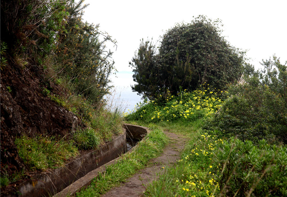 levada_do_canical_3