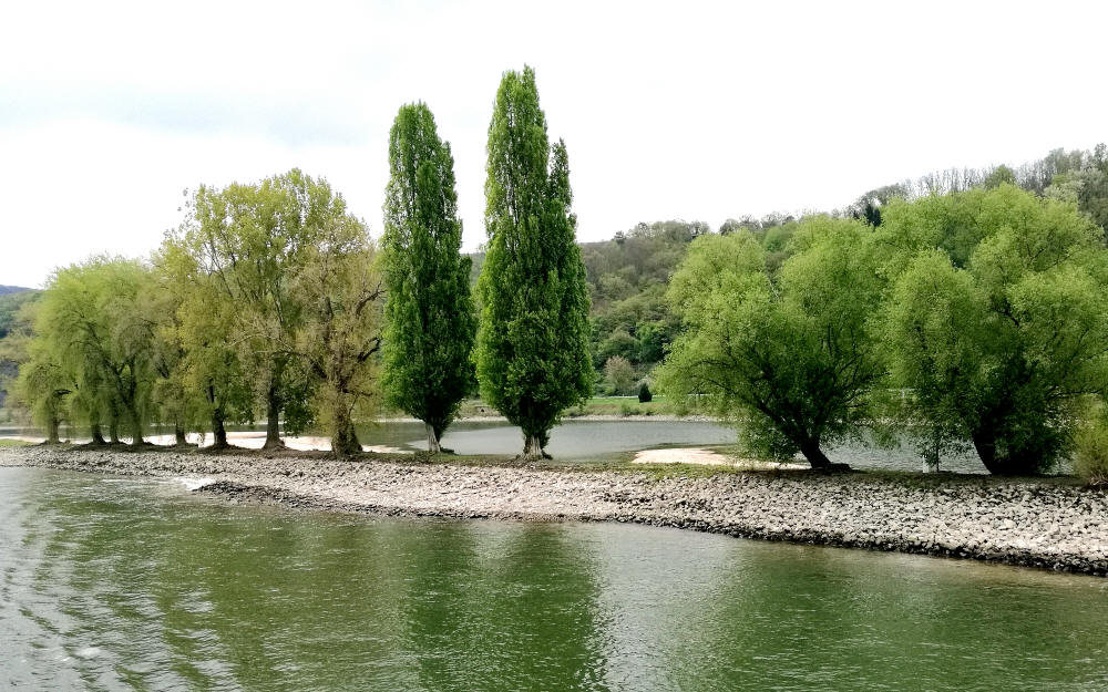 osterspai