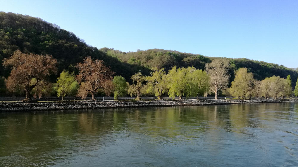 rheinromantik