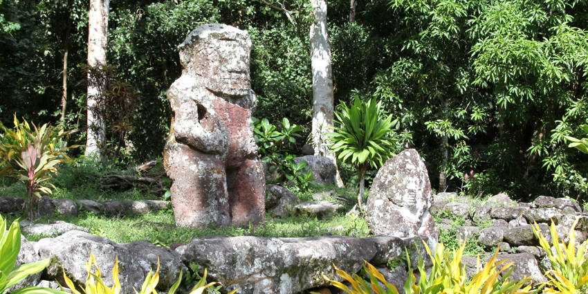 img_0382_tiki