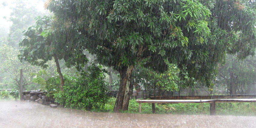 img_2235_unwetter