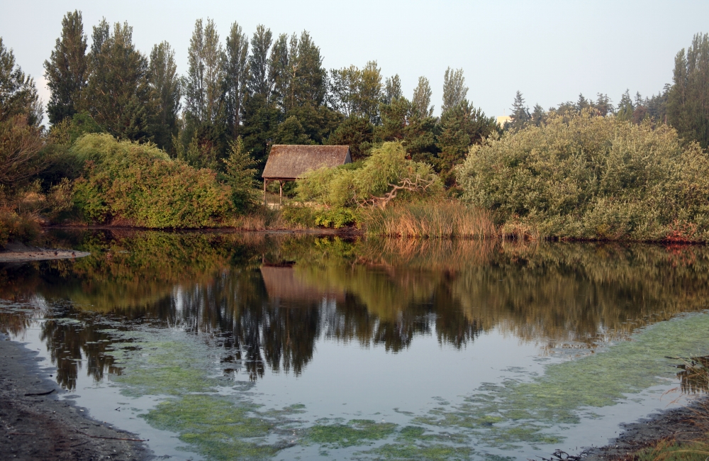 kleiner_see