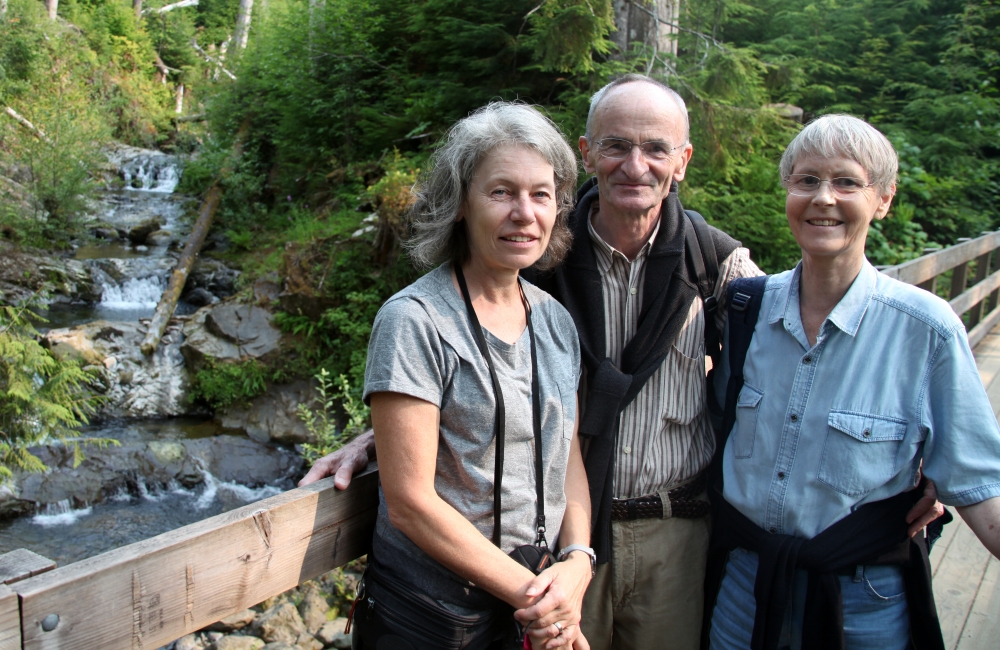quinault_regenwald