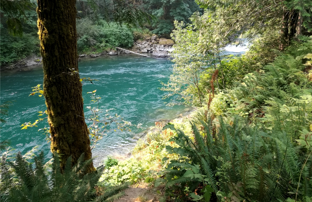 skagit_river
