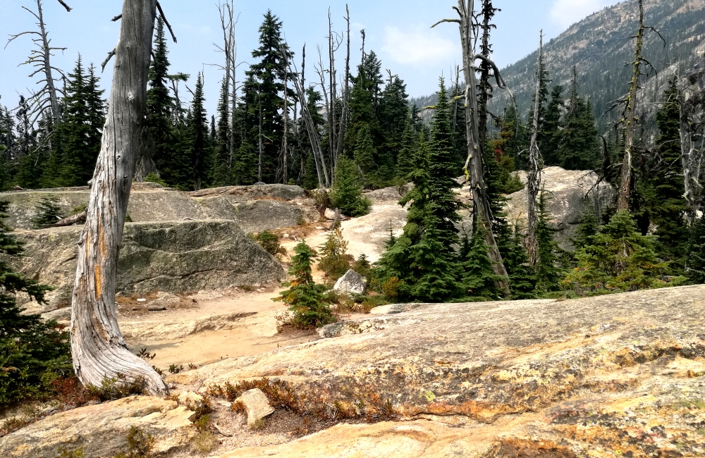 washington_pass