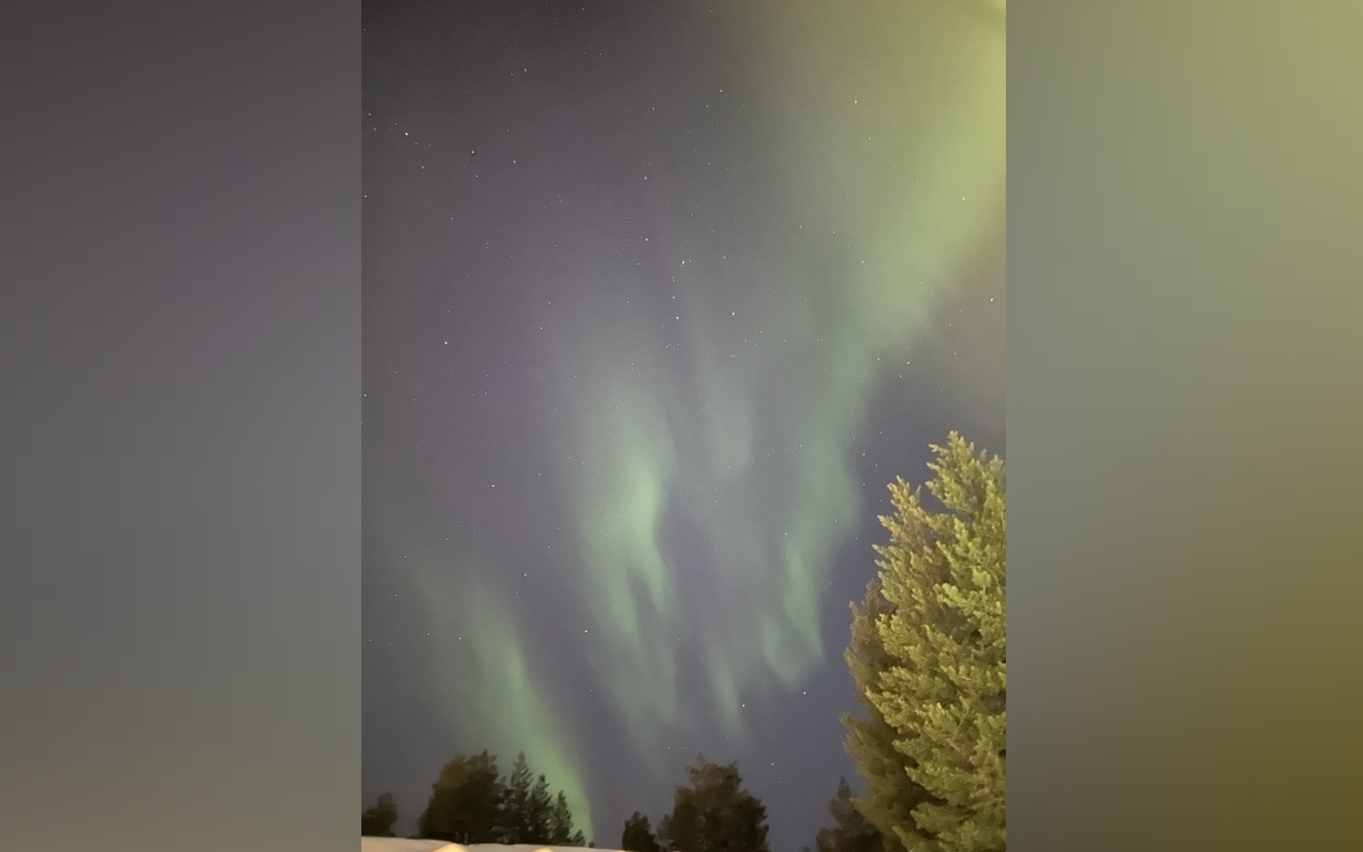 polarlicht_saamen_kammi